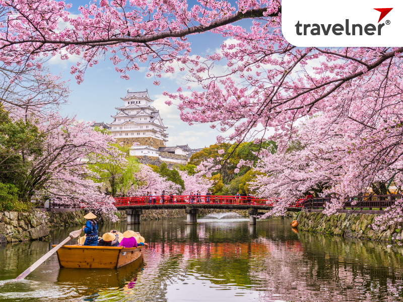 Autumn in Japan attracts international travelers Autumn in Japan attracts international travelers