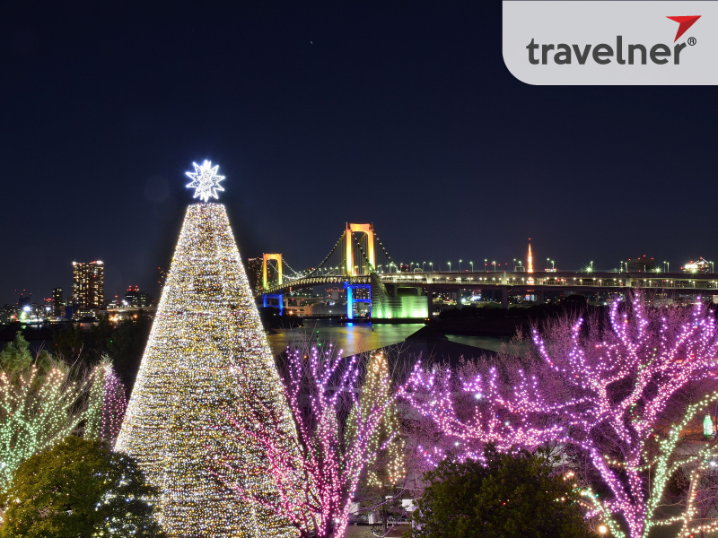 Christmas in Tokyo city is colorful because of the system of brightly decorated lights.