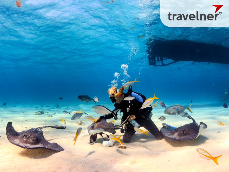 Dive into a sea full of stingrays - an exciting experience that you should try at least once