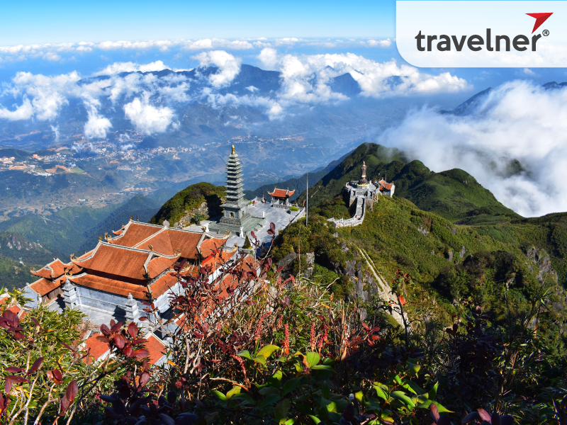 Explore the tea culture in Sapa