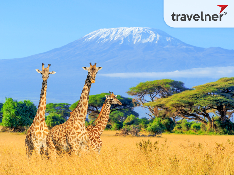 From July to September during the country's dry season is known as the best time of year to visit Kenya