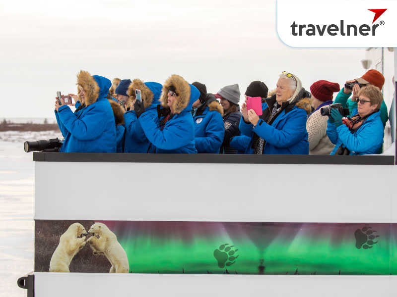 Go bear watching is a fantastic activity attracts many travelers Go bear watching is a fantastic activity attracts many travelers