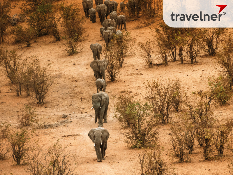 Hwange is the largest national park in Zimbabwe Hwange is the largest national park in Zimbabwe