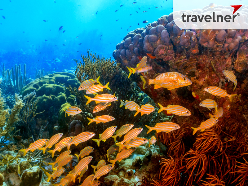 Little Cayman, the smallest island, is known for its excellent fishing and diving.