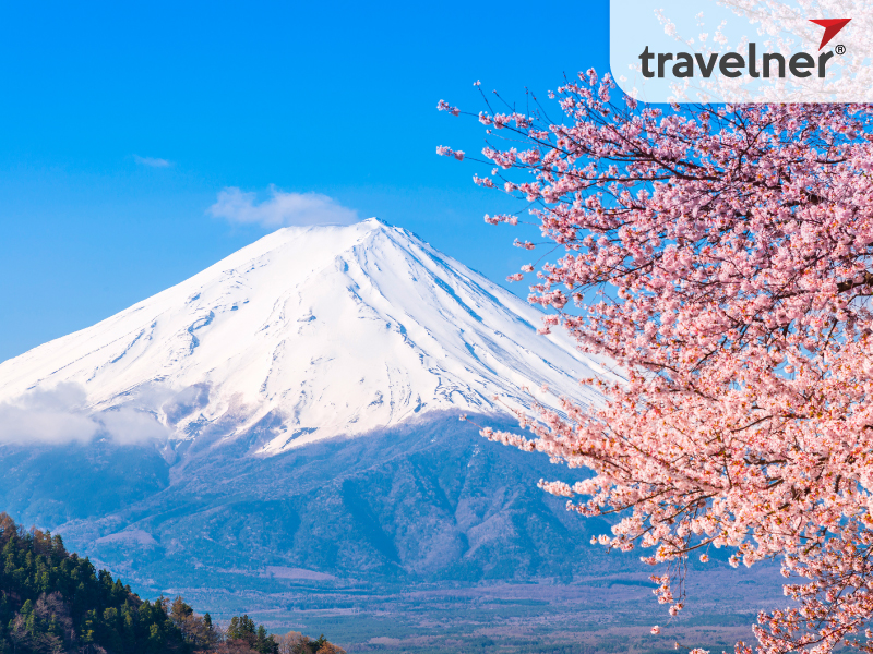 Mount Fuji is a symbol of the cherry blossom country Mount Fuji is a symbol of the cherry blossom country