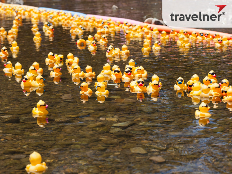 Rubber Duck Race - Germany | Early October Rubber Duck Race - Germany | Early October