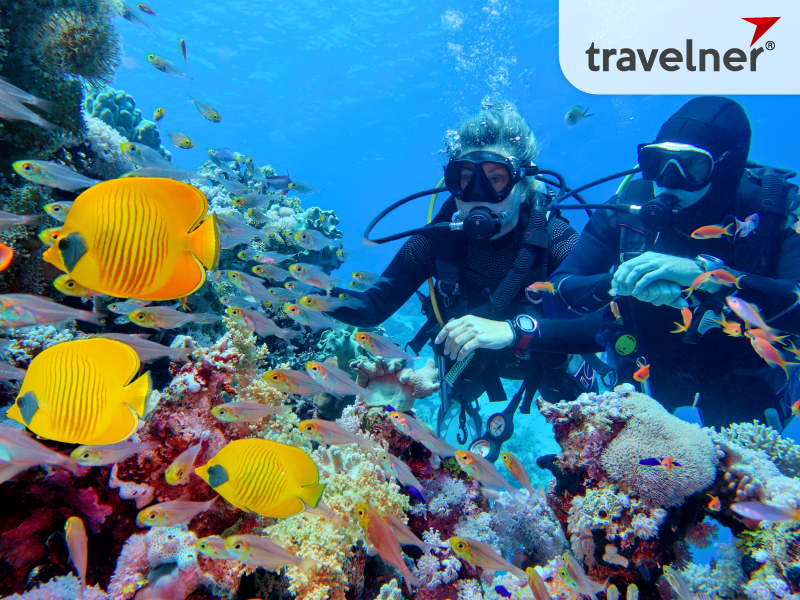Scuba diving is a must-try experience for every traveler to East Timor Scuba diving is a must-try experience for every traveler to East Timor