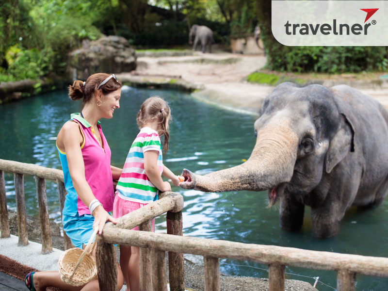 Singapore Zoo is one of the best places to visit in Singapore for family.