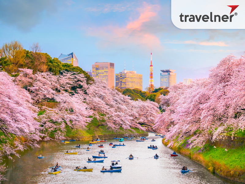 Spring in Tokyo usually starts in March and lasts until May every year. Spring in Tokyo usually starts in March and lasts until May every year.