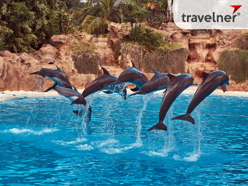 The National Zoo and Aquarium is a zoological park with a wide variety of habitats The National Zoo and Aquarium is a zoological park with a wide variety of habitats