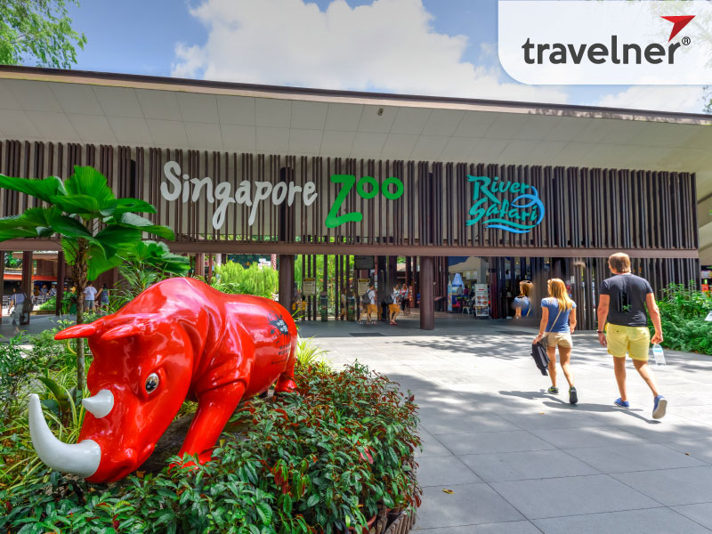 The Singapore Zoo is known for its innovative and naturalistic habitats The Singapore Zoo is known for its innovative and naturalistic habitats