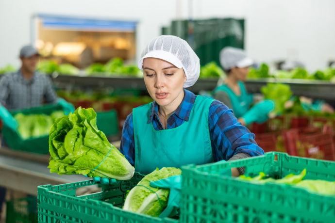 Compre un seguro de viaje para trabajos manuales para tener tranquilidad. Buy manual labor travel insurance to have peace of mind.