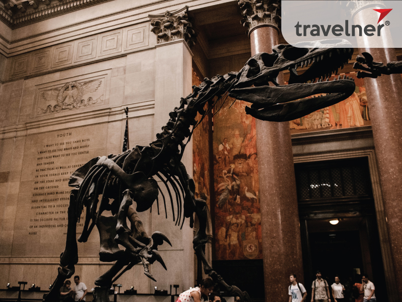 Travel through space and time at the American Museum of Natural History Travel through space and time at the American Museum of Natural History