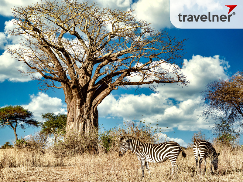 Visa and travel insurance are necessary for the trip to Zimbabwe Visa and travel insurance are necessary for the trip to Zimbabwe