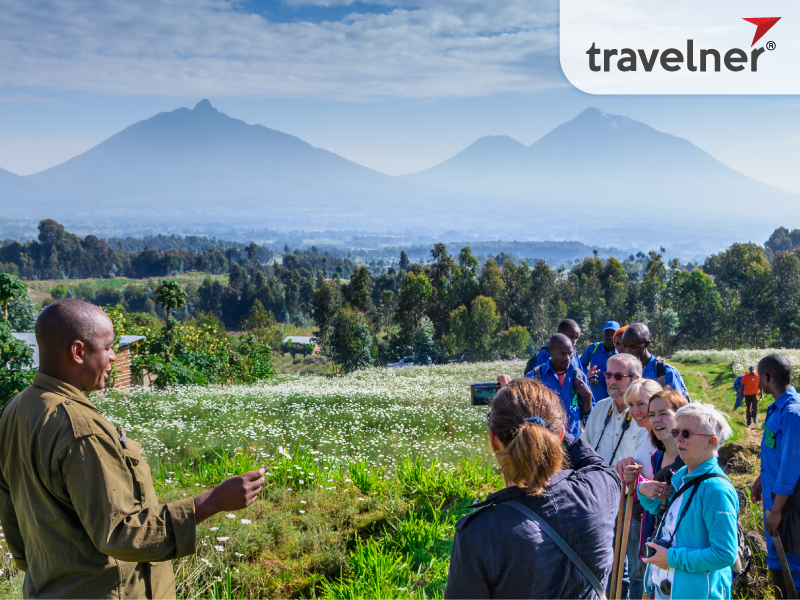 Volcanoes National Park is home to Rhesus Monkeys and Gorillas. Volcanoes National Park is home to Rhesus Monkeys and Gorillas.