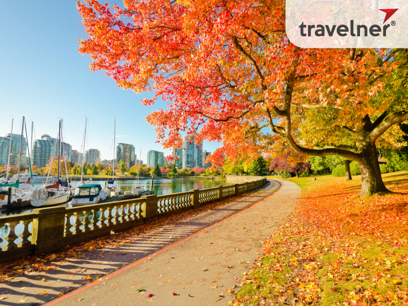 Walking and exercising in the morning at Stanley park is a great idea for travelers Walking and exercising in the morning at Stanley park is a great idea for travelers